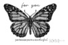 A Monarch Echo