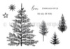 Pines of Endearment